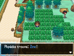 Fichier:Route 18 Zinc N2B2.png