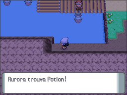 Route 205 Potion DP.png