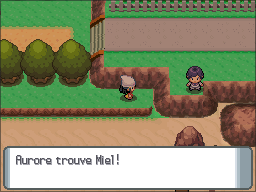 Route 222 Miel 2 DP.png