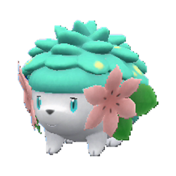 Garanta já o seu Shaymin