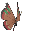 Fichier:Sprite 0666 Archipel dos XY.png