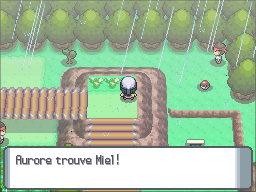 Route 215 Miel DP.png