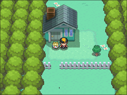 Route 2 Maison Pepite HGSS.png