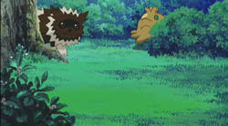 Film 7 - Zigzaton.png
