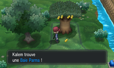 Fichier:Route 18 Baie Parma XY.png