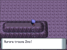 Route 211 Zinc DP.png