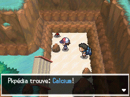 Route 18 Calcium NB.png