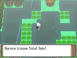 Route 212 Total Soin 2 Pt.png