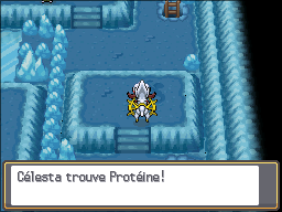 Route de Glace Protéine HGSS.png