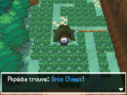 Bois des Illusions Gros Champi NB.png