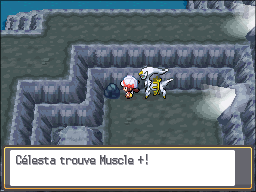Grotte Argentée Muscle + HGSS.png