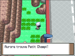 Route 206 Petit Champi Pt.png