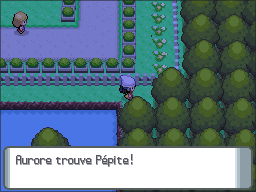 Aire de Détente Pépite 2 DP.png
