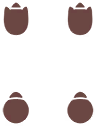 Empreintes 0153 DEPS.png