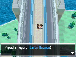 Fichier:Pont Sagiciel Laits Meumeu N2B2.png