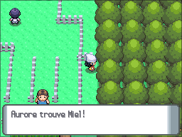 Route 214 Miel DP.png