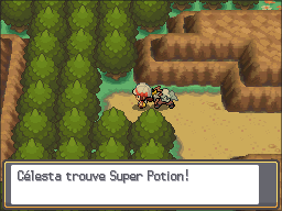 Route 32 Super Potion HGSS.png