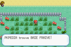 Fichier:Route 8 Baie Fraive RFVF.png