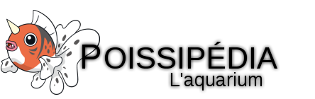 Fichier:Forum Poképédia logo Poisson 2016.png
