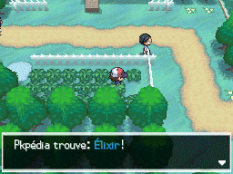Route 6 Élixir NB.png