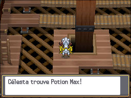 Tour Carillon Potion Max 2 HGSS.png