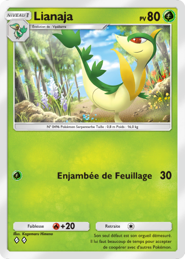 Fichier:Carte L'Ambition de la Team Rocket 004.png