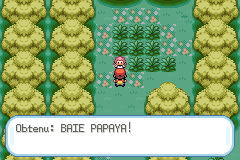Bois Baies Baie Papaya RFVF.png