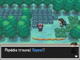 Route 5 Rappel NB.png