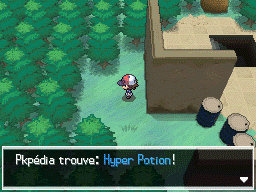 Vestiges du Rêve Hyper Potion NB.png