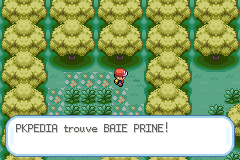 Bois Baies Baie Prine RFVF.png