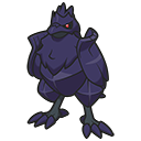 Corvaillus
