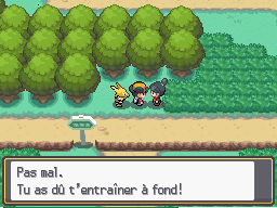 Route 1 Topdresseur F HGSS.png