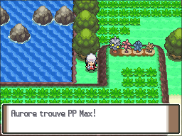 Route 224 PP Max Pt.png