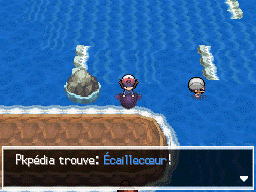 Chenal 17 Écaillecœur 2 NB.png