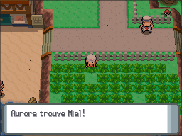 Route 222 Miel DP.png