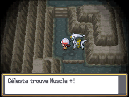 Antre Noir Muscle + HGSS.png