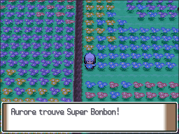 Pré Floraville Super Bonbon Pt.png