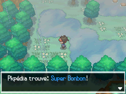 Fichier:Route 8 Super Bonbon N2B2.png
