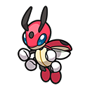 Coxyclaque