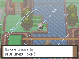 Route 212 CT84 Pt.png