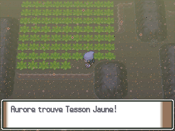 Route 227 Tesson Jaune Pt.png
