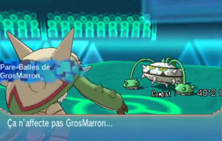 Fichier:Pare-Balles ROSA.png