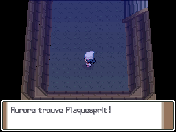 Ruines Bonville Plaquesprit Pt.png