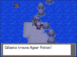 Chenal 40 Hyper Potion HGSS.png