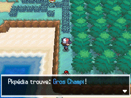 Route 1 Gros Champi NB.png