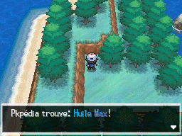 Route 1 Huile Max NB.png