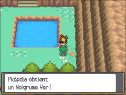 Fichier:Route 45 Noigrume Vert HGSS.png