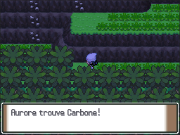 Chenal 226 Carbone Pt.png