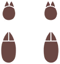 Empreintes 0032 DEPS.png