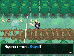 Maillard Rappel NB.png